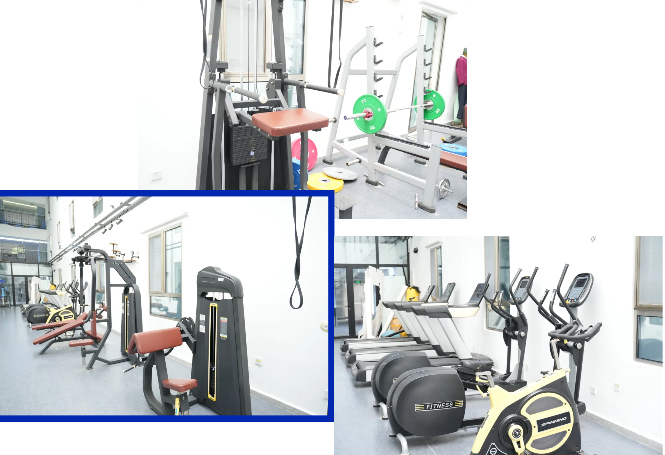 1758526431442724.jpg 1758526431442724.jpg