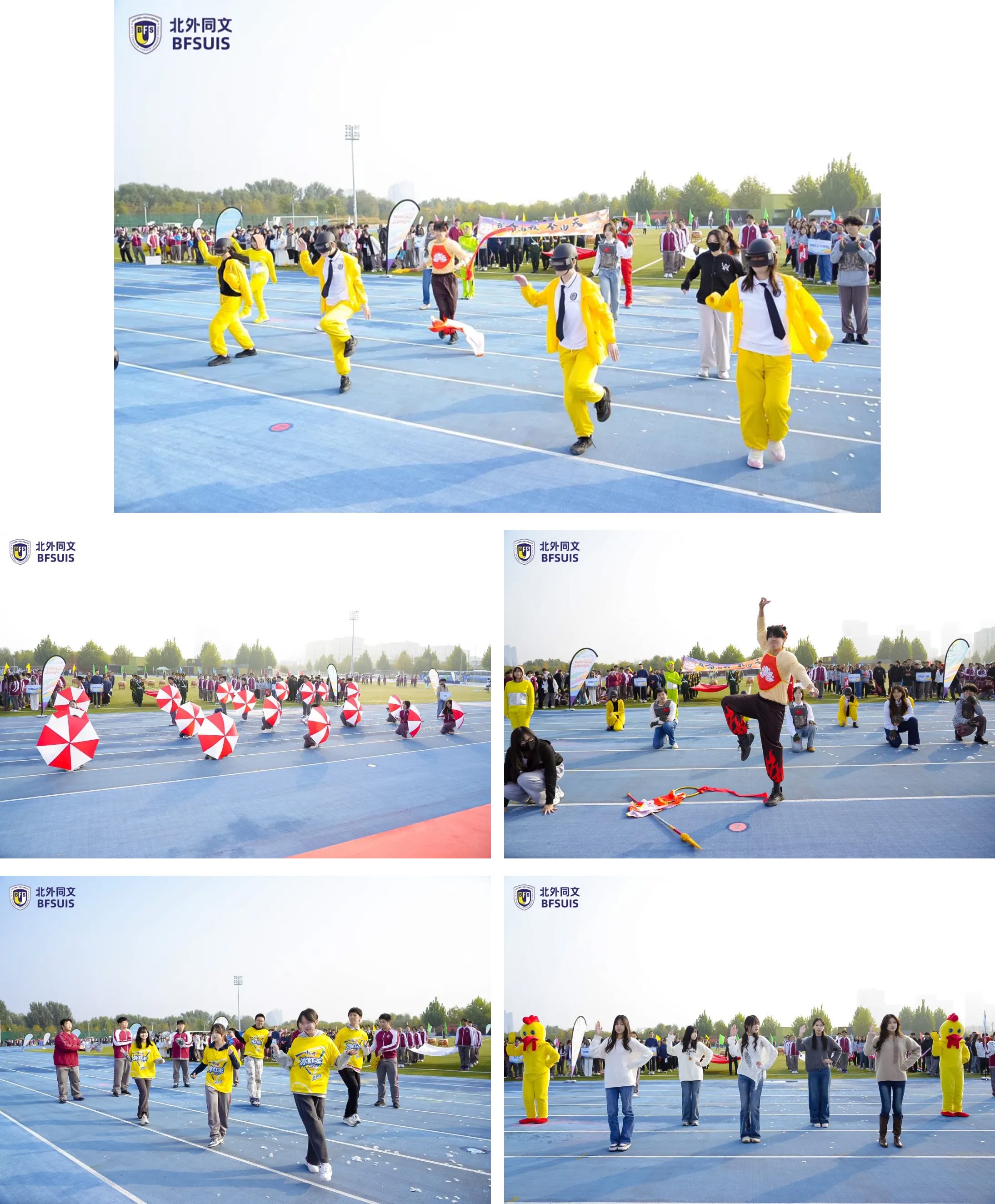 1762252167476309.jpg 1762252167476309.jpg