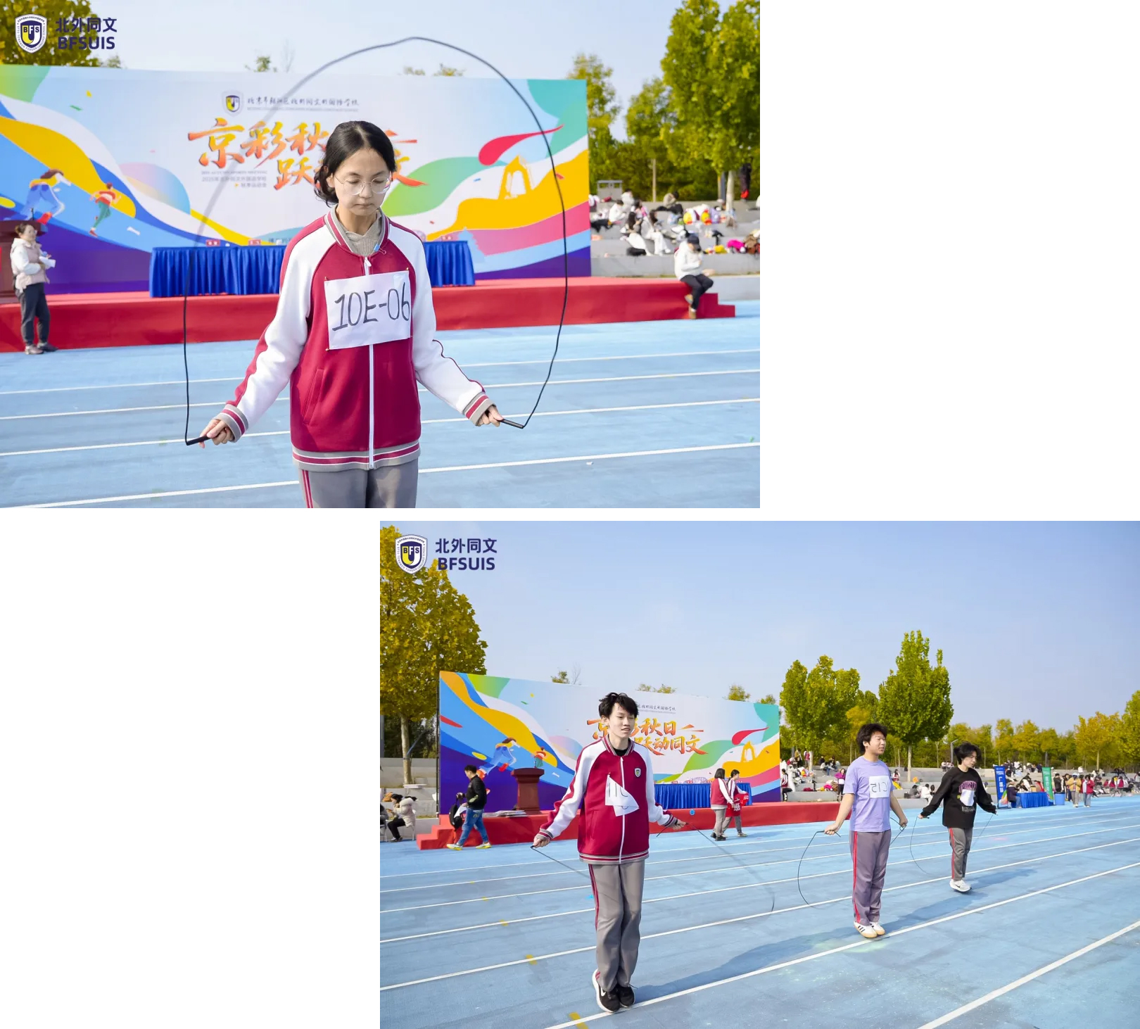 1762336164583330.jpg 1762336164583330.jpg