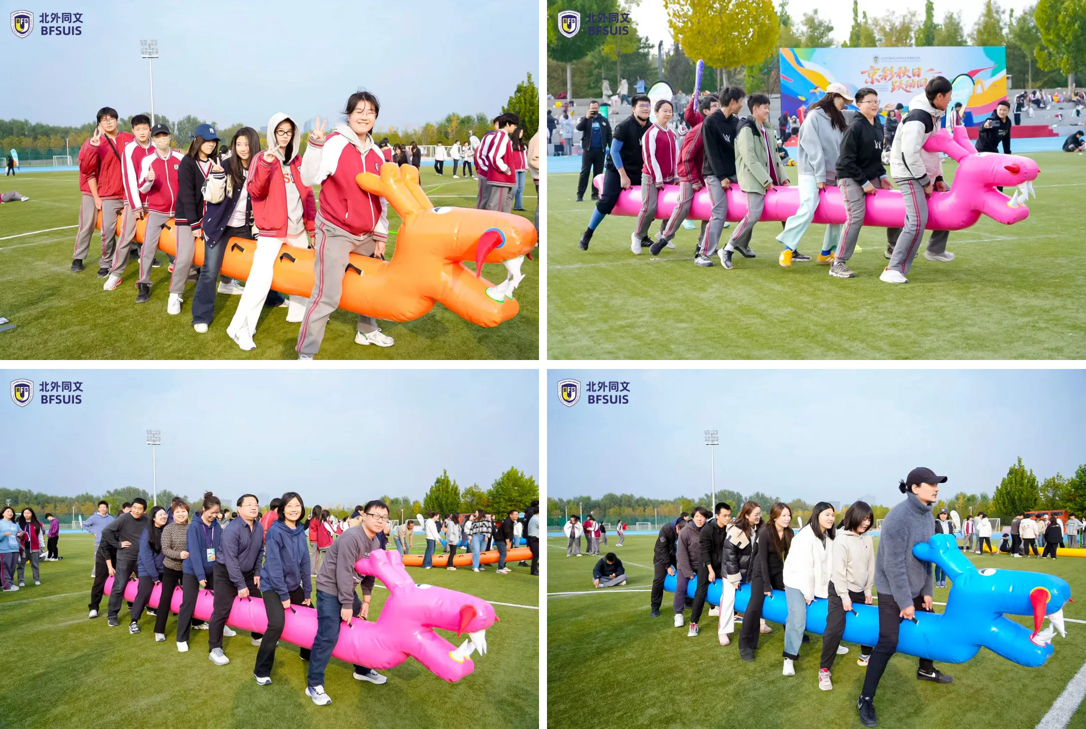 1762336523542102.jpg 1762336523542102.jpg