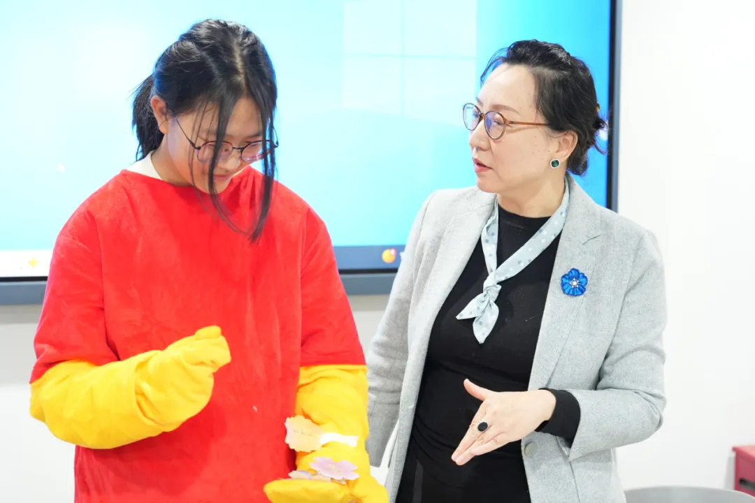 1765162267965334.png 1765162267965334.png