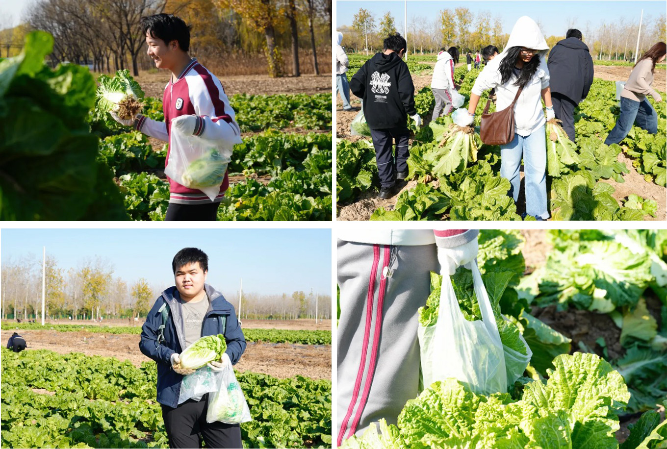 1765420057295714.jpg 1765420057295714.jpg