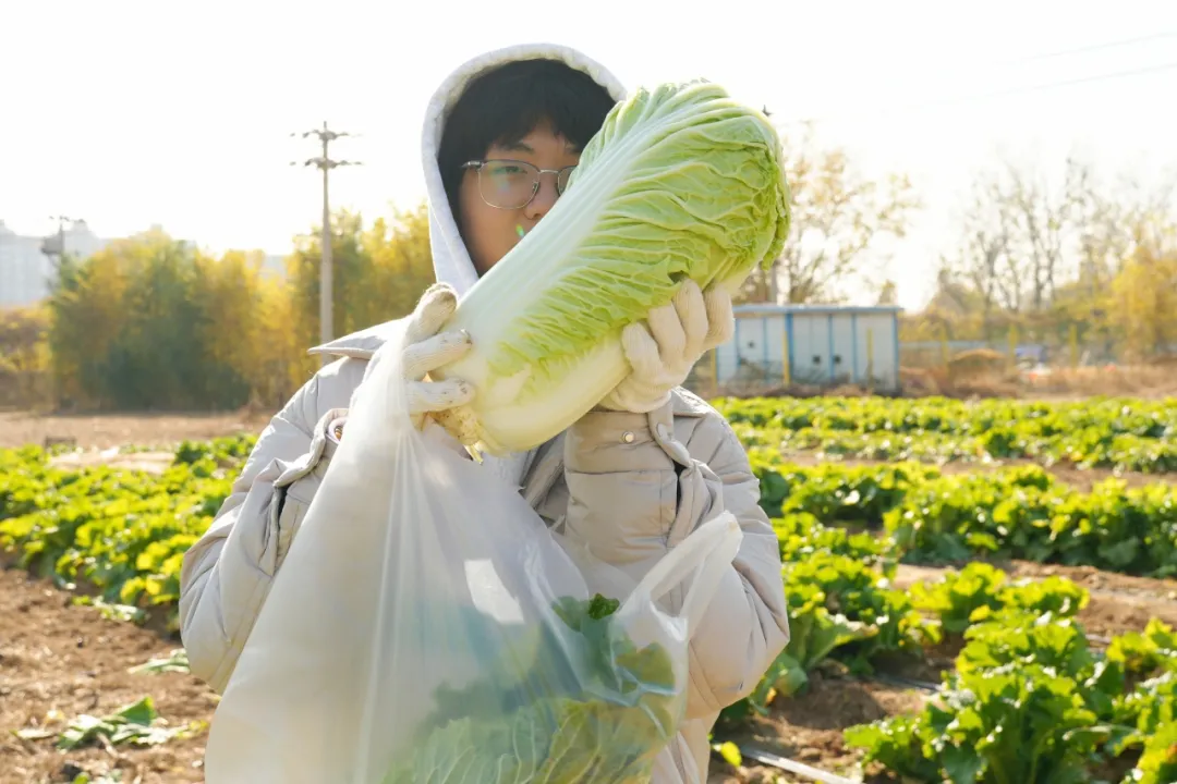 1765420115259262.png 1765420115259262.png