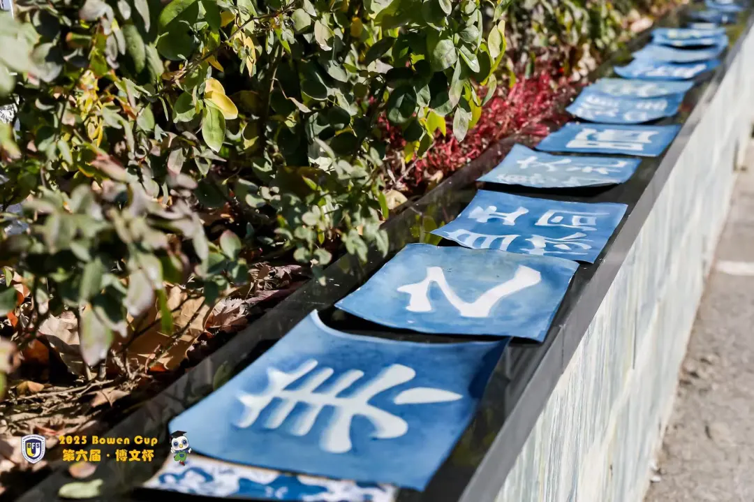 1765435246745070.png 1765435246745070.png