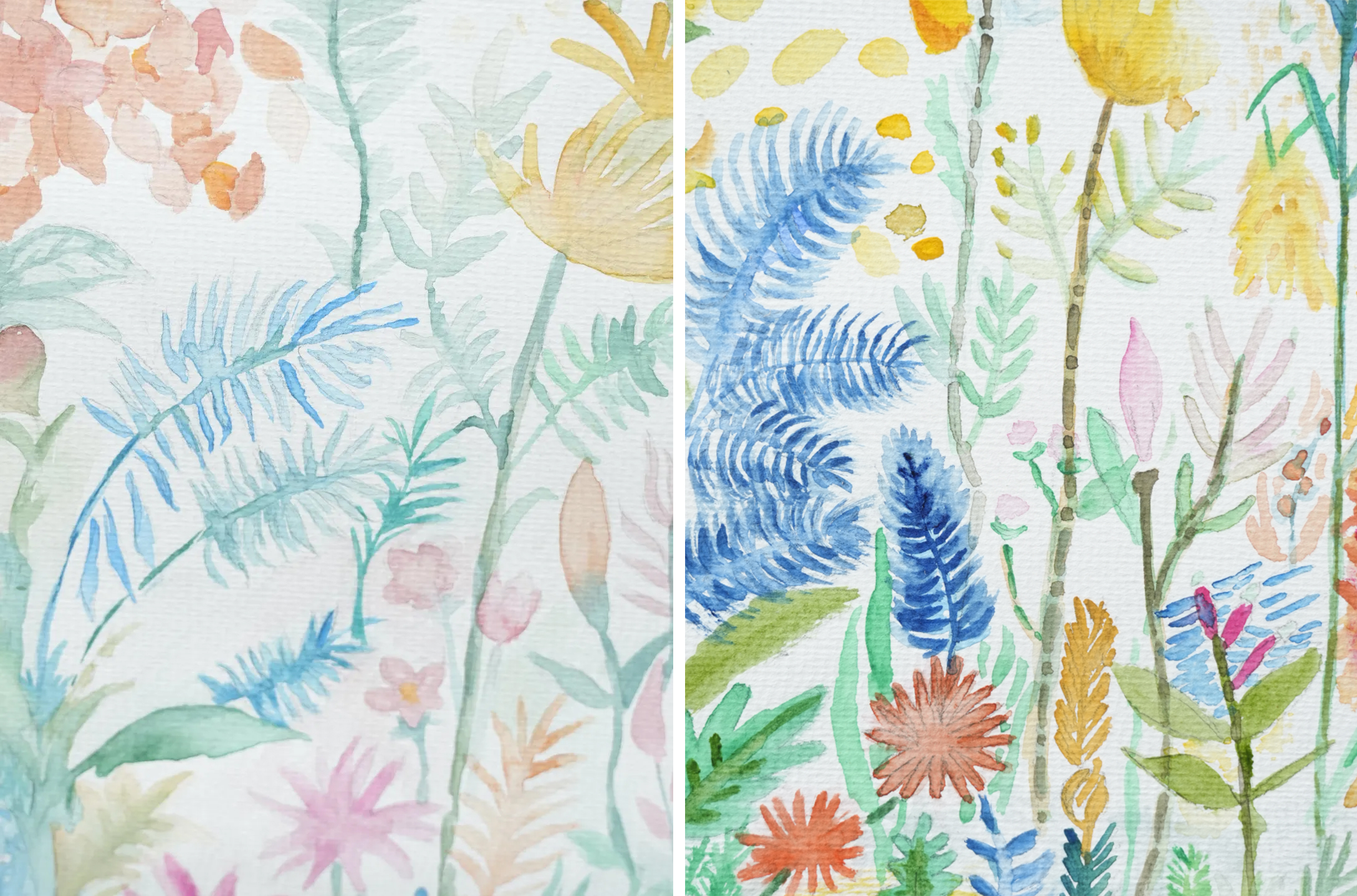 1768890217966650.jpg 1768890217966650.jpg