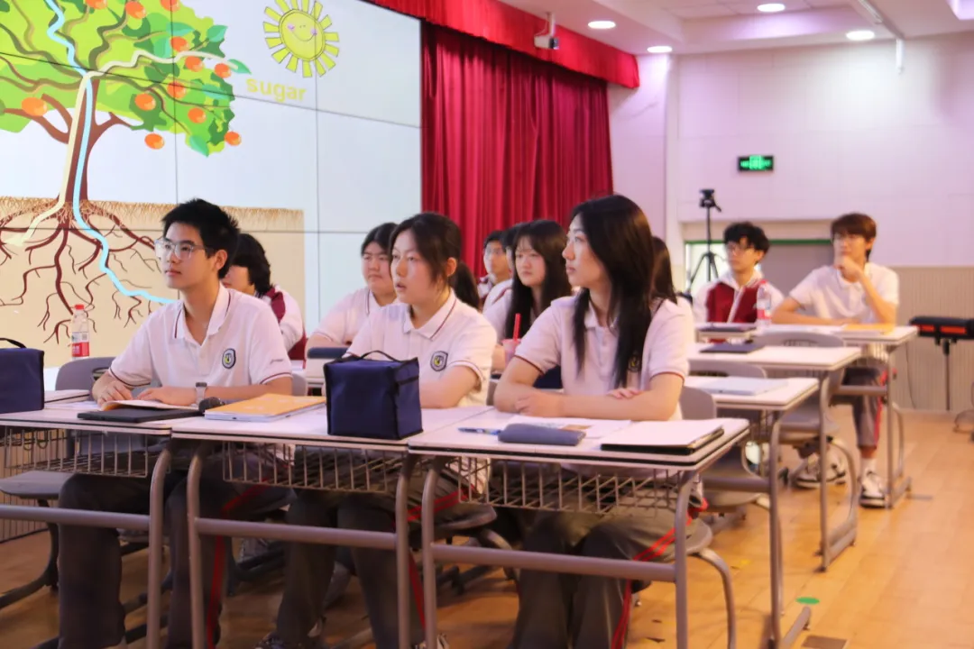 1773803496108364.png 1773803496108364.png