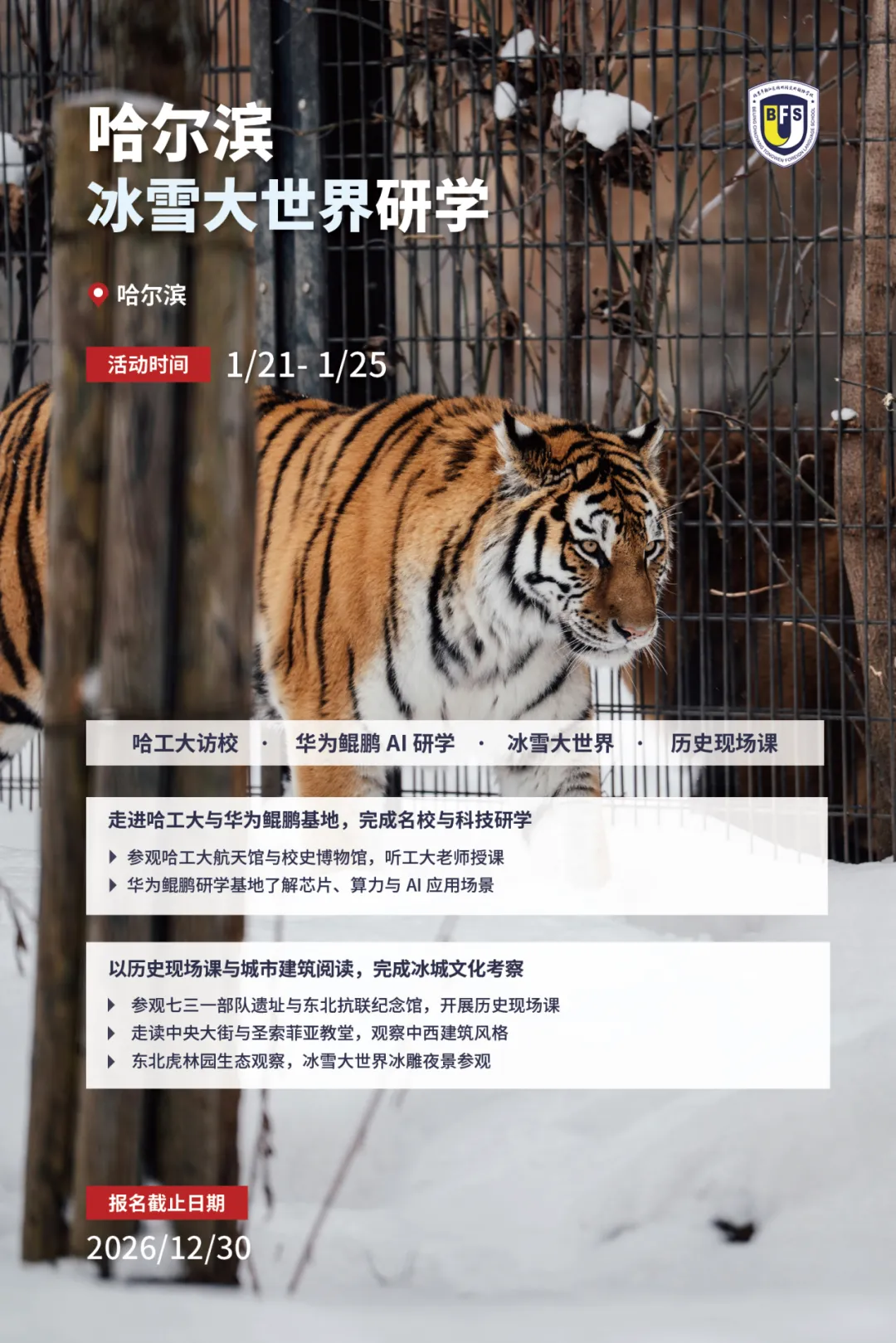 1789898735853573.png