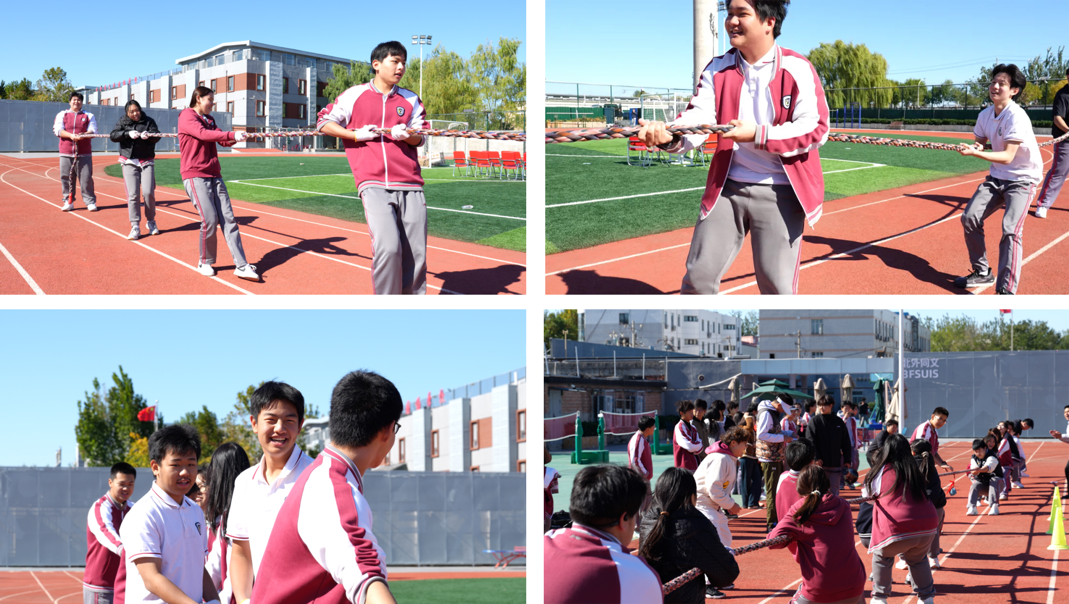 1792992825902215.jpg